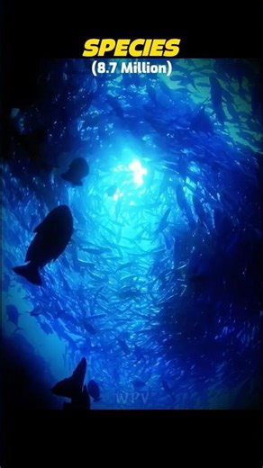 MILKY WAY vs EARTH Life💀 #shorts #space #sciecne