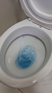 4.1M views · 23K reactions | People always ask me why my bathroom is so fragrant, here's the secret! | Bezerra good Tips | Facebook