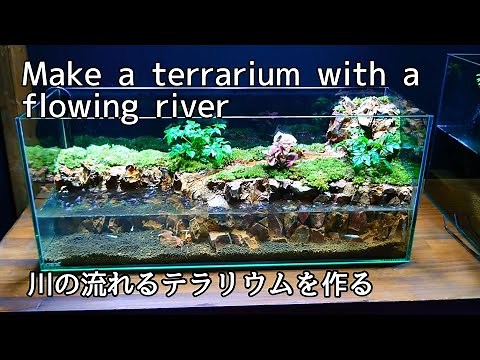 Make a terrarium with a flowing river 【part57】