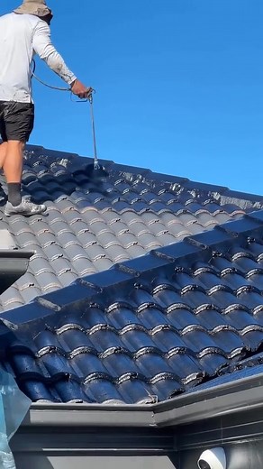 225K views · 1.1K reactions | House Service on Reels | Facebook