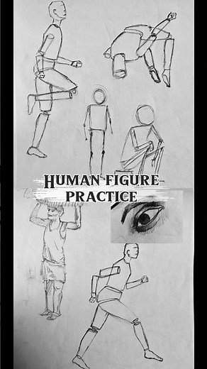 Figure Drawing Practice | Basic Human Proportions #shorts #human #figure #drawing #proportions#viral