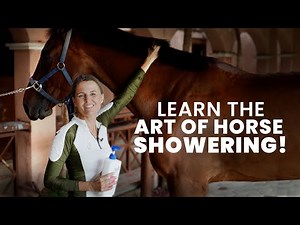 Bathing Bliss: Showering Your Horse!