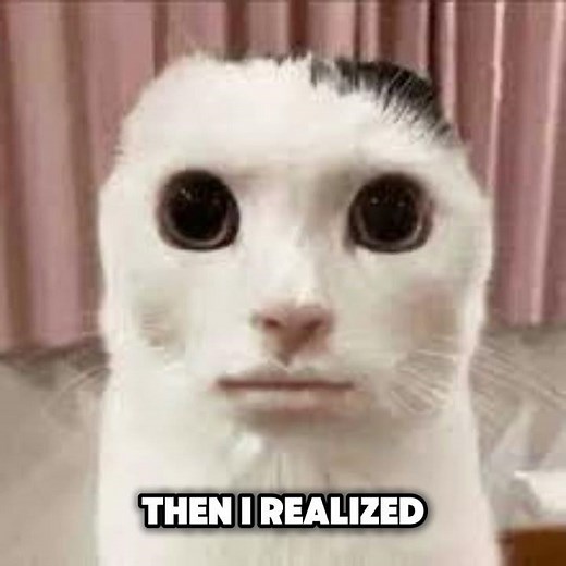 Evil Larry Was In My Toilet! #cat #scarystory #meme