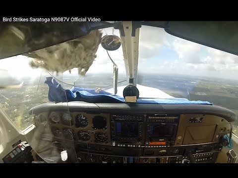 Impressive Bird Strike on a Piper Saratoga in Flight (windshield explosion!)
