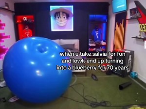 Funny Salvia Trip Stories: Unexpected Adventures