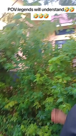 goos _,,shy (@goosshy)’s videos with original sound - goos _,,shy