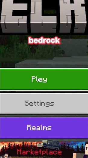 The ONLY Minecraft SMP you'll ever need to join. #minecraft #minecraftserver #smp