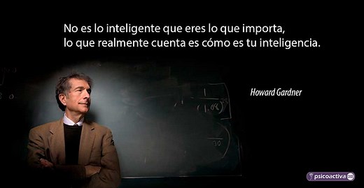 50 frases de Howard Gardner sobre inteligencia y educación