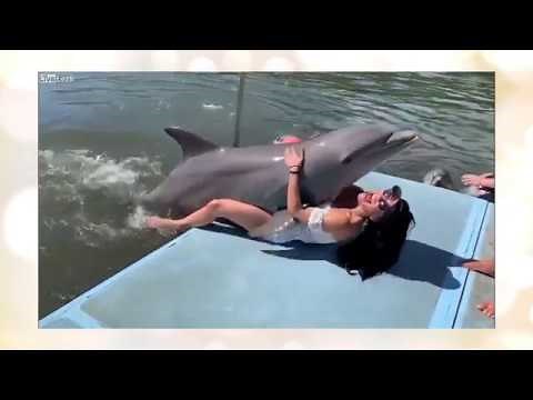 海外でイルカが女性を無理やり襲ってしまう *HOT GIRL* GETS HUMPED BY *FRISKY DOLPHIN*