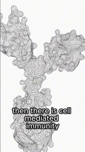Incredible Function of the Adaptive Immune System