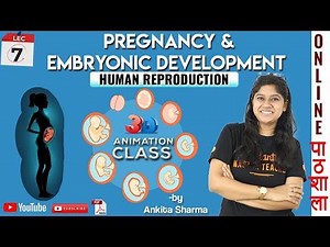 Pregnancy and Embryonic Development 3d Animation | Human Reproduction | Chapter 3 Biology Class 12