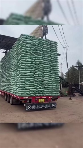 This truck isn’t hauling cargo—it’s stacking danger. Overloading like this risks lives on every turn. #truck #trucking #automobile #trucker #truckdriver