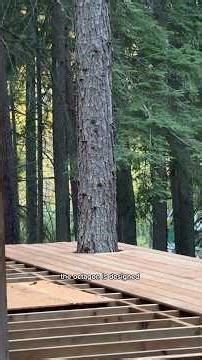 Part 2 building a deck around a tree for our tiny homestead