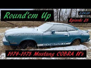 Round'em Up 1974-1978 COBRA II's FOR SALE