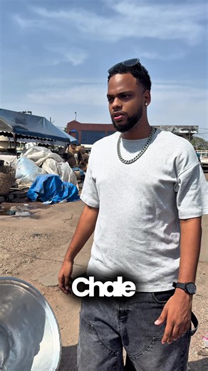 Top CEO Insights: Yango It!