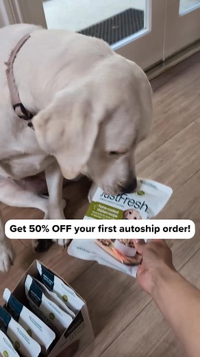 22 reactions | If I wouldn’t eat ultra-processed food every day, why would I feed it to my dog? 路‍♀️ After learning these shocking truths about kibble, I just had to make the switch to JustFoodForDogs Get 50% off your first autoship order today! | Candice Aviles | Facebook
