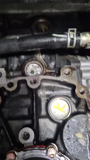 Fixing a Leaking Welsh Plug: Mechanic's Guide in Australia