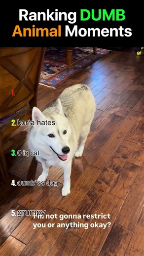 Ranking DUMB Animals with 0 Braincells