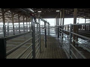 Moly Hydraulic Sort Gates