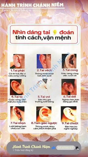 Bí mật thiền định: Làm chủ tâm trí với thực hành chánh niệm và hơi thở tỉnh thức