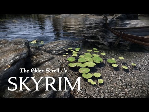 Immersive Fallen Trees SSE