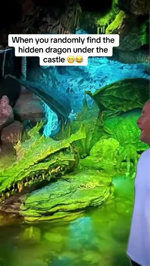 😂😂😂 #dlp #sleepingbeauty #dragon #comedy #funnymemes