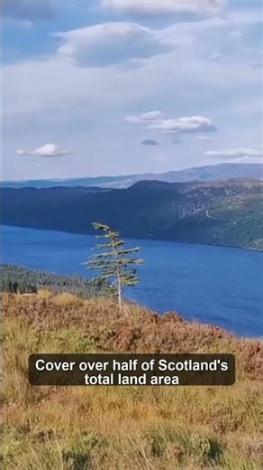This is why Scottish Highlands is on everyone's bucket list ✈️
