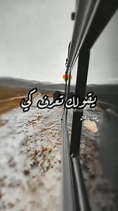 96K views · 2.7K reactions | ⛔ Chaourou - Cheb bilal 駱 شاورو... الشاب بلال❗ | Cheb Bilal Officiel | Facebook