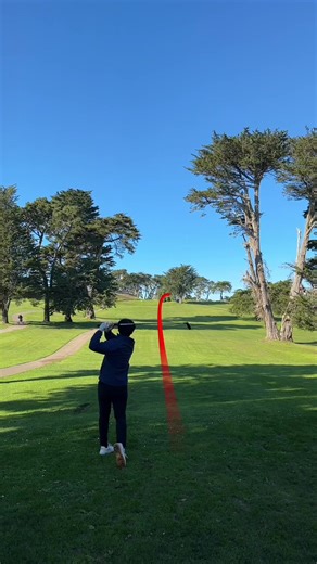 Lincoln Park Golf Course • Hole 12 • Par 3 • 202 yards why are par trees over 200 yards #golf #golftiktok #golfcontent #golfswingfail