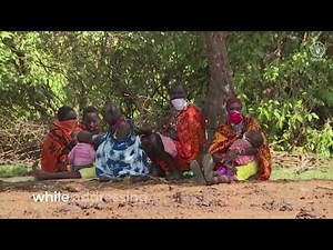 Designing agrifood systems pathways for healthy diets – Livestock sector