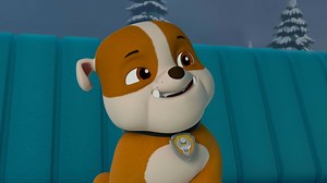 Watch PAW Patrol Season 6 Episode 19: Pups Save a White Wolf / Pups Save a Wrong Way Explorer - Paramount  Canada