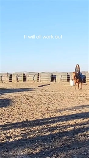 #horse #sorrelgelding #equestrian #fyp #xyzbca