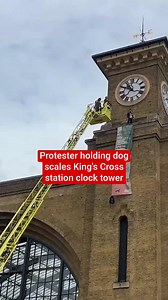 19K views · 48 reactions | Protester holding dog scales King’s Cross station clock tower | The Independent | Facebook