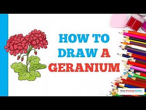How to Draw a Geranium: Easy Step by Step Drawing Tutorial for Beginners
