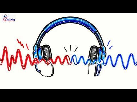 Lesson 2 Year 12 Physics Wave Behavior and Interference