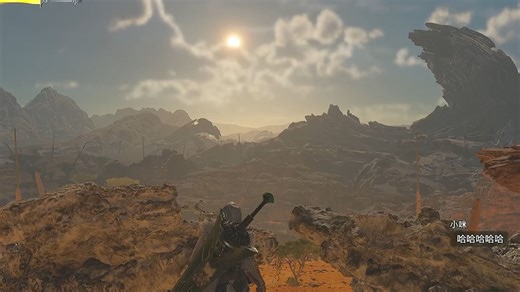 也许这才是MHWs该有的画面表现