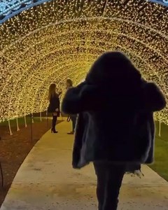 675 reactions · 170 shares | Your annual holiday tradition returns to...