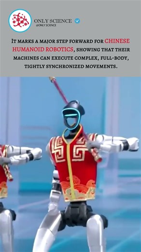 Chinese Kung fu Humanoid robots