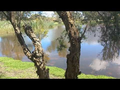 Urban wetlands 🏞