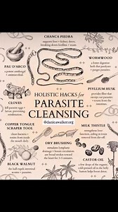 FULL BODY PARASITE CLEANSE 🪱👇 ⠀⠀ ⠀⠀ ⠀⠀ ⠀⠀ ⠀⠀ ⠀⠀ ⠀⠀ ⠀⠀ ⠀⠀ ⠀⠀ ⠀⠀ ⠀⠀ ⠀⠀ ⠀⠀ ⠀⠀ ⠀⠀ ⠀⠀ ⠀⠀ ⠀⠀ ⠀⠀ ⠀⠀ ⠀⠀ ⠀⠀ ⠀⠀ Parasites can burrow ANYWHERE in the body and if you do not detox at the cellular level which includes all organs and the brain you risk UNDERTREATING and having them simply migrate elsewhere in your body to ensure their survival. This is how I cleanse to make my ENTIRE body inhospitable to parasites: ⠀⠀ ⠀⠀ ⠀⠀ ⠀⠀ ⠀⠀ ⠀⠀ ⠀⠀ ⠀⠀ ⠀⠀ ⠀⠀ ⠀⠀ ⠀⠀ ⠀⠀ ⠀⠀ ⠀⠀ 1. I use herbal tinctures renowed for eradicatin