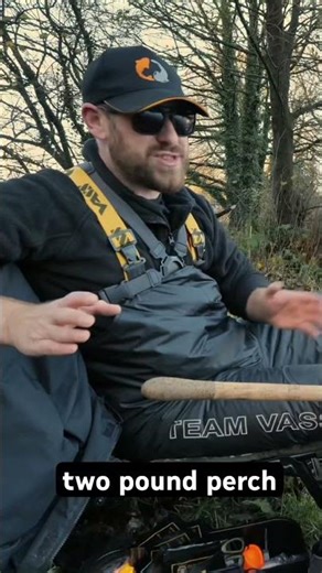 Big perch campaign #fishing #angling #perch #fish #coarsefishing