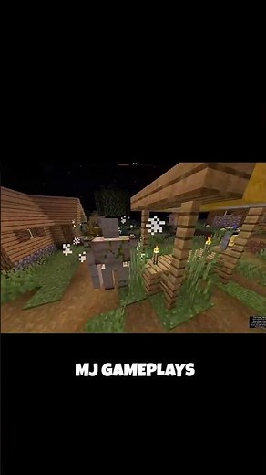 Minecraft Raid Final Part😈