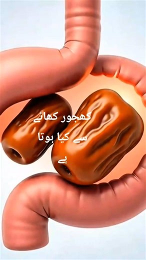 Dates Benefits: How They Affect Stomach, Liver, Heart, Lungs & Brain!😃