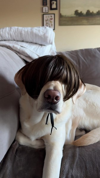 i cannot stop LAUGHING