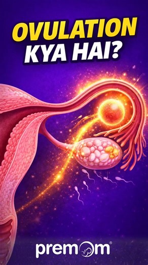 What is ovulation? | What happens inside the body