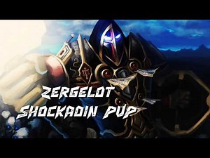 Holy Paladin Shockadin PvP level 70 WoW TBC Anniversary 2026 (Phase 1) Zergelot Spineshatter EU