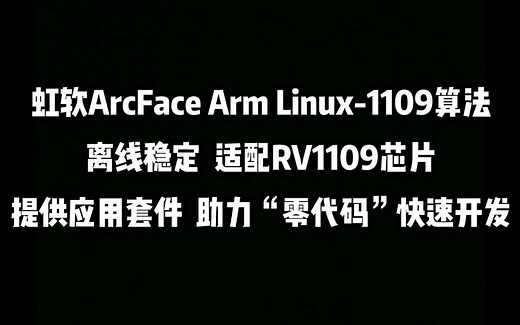 虹软ArcFace Arm Linux人脸识别算法适配RV1109