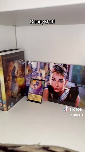 Organizing DVD Collections with IKEA Billy Bookshelves
