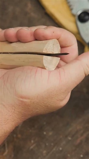 simple punch trik #survival #bushcrft#camping#usa #wood #lifeisbutadream