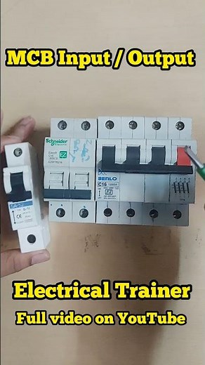 MCB Input Output connection #electricaltrainer #electrical #youtubeshorts